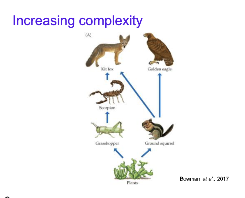 <p>Increasing complexity def. </p>