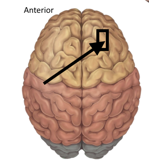 <p>Name the structure</p>