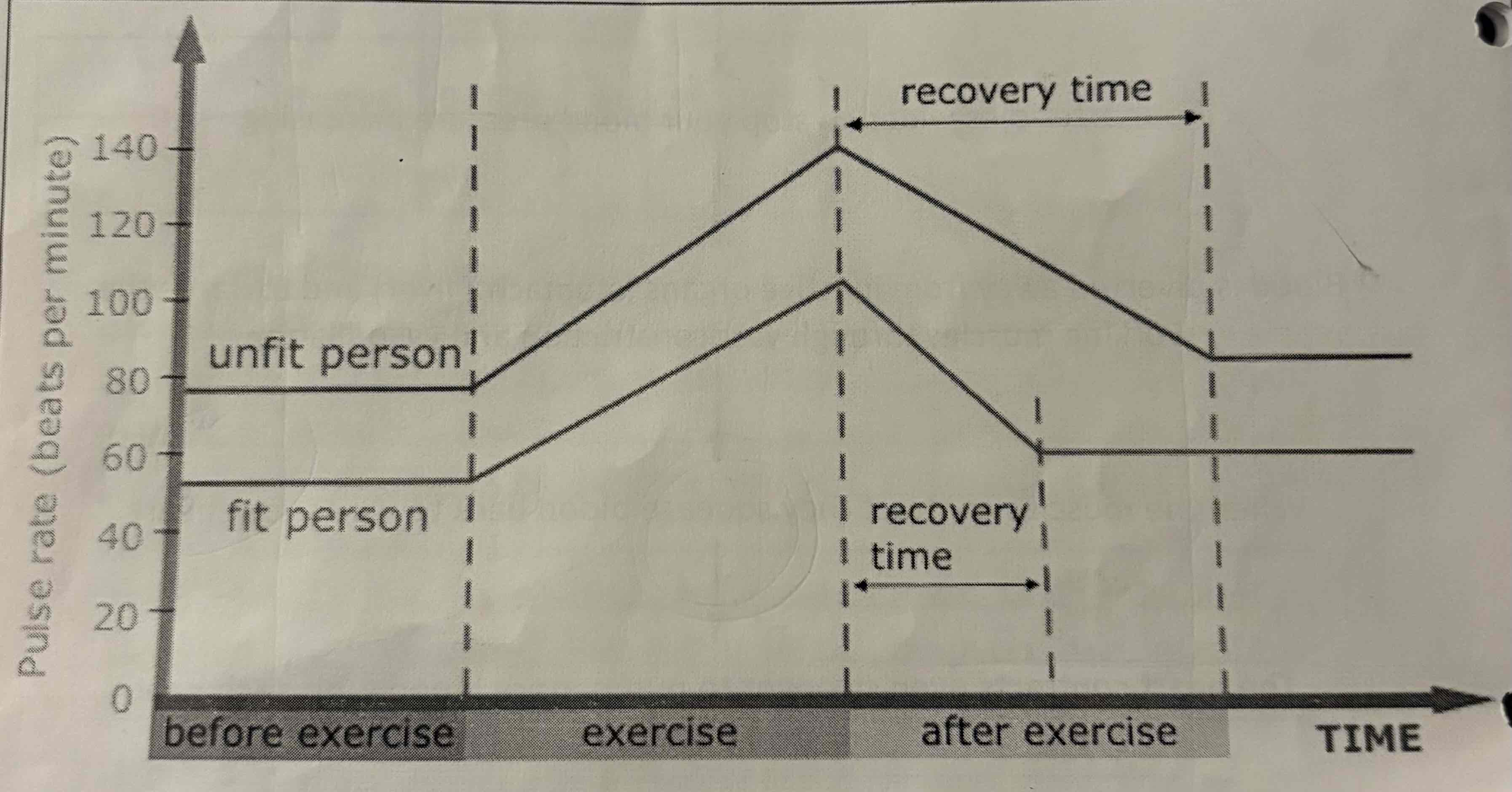 <p>Explain the differences between these two people in the graph:</p>