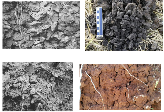 <p><strong>describe blocky soil structure</strong></p>