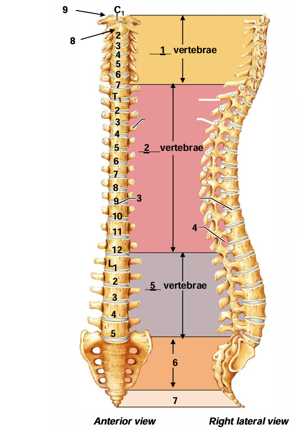 <p>What is #3 in the diagram?</p>