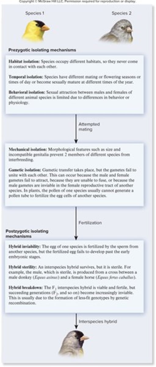 <p>Proposed by Ernst Mayr, it defines species based on the ability to interbreed and produce fertile offspring.</p>