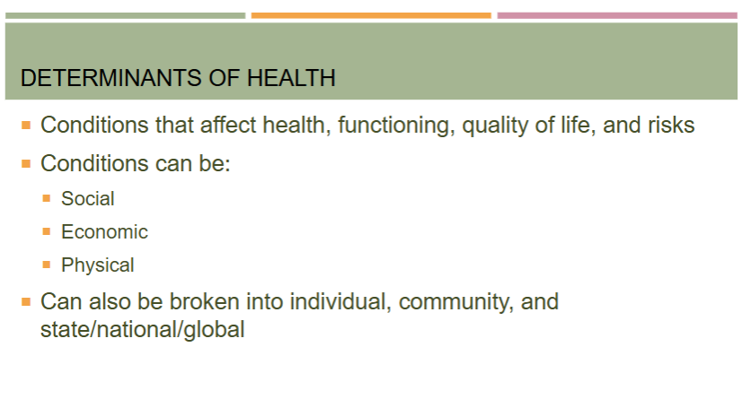 <ul><li><p>conditions that affect health, functioning, quality of life, and risks</p></li><li><p>can be social (ex: access to education), economic (ex: poverty), or physical (ex: exposure to toxic substances)</p></li><li><p>can also be broken into individual (ex: genetics), community, and state/national/global</p></li></ul><p></p>