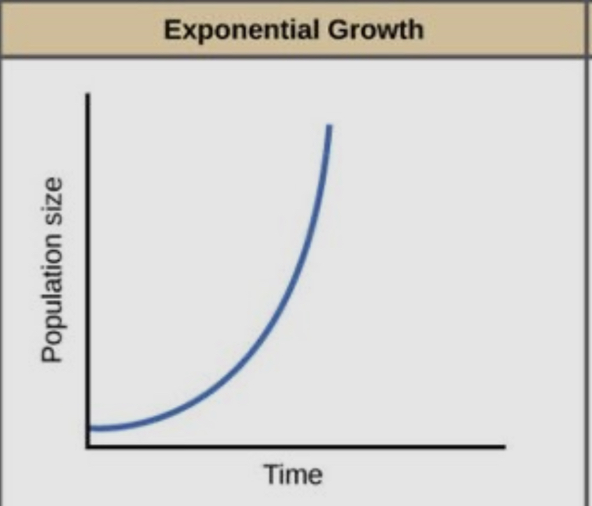 <p>the per-capita growth rate is <strong>constant</strong> or <em>density independent </em></p>