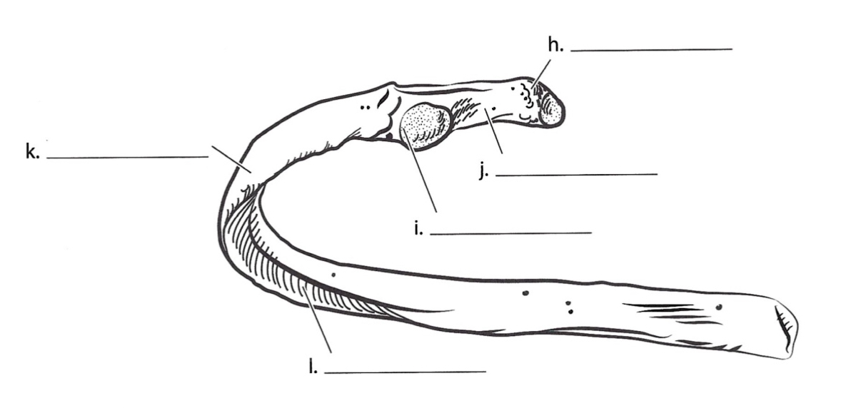 <p>J</p>