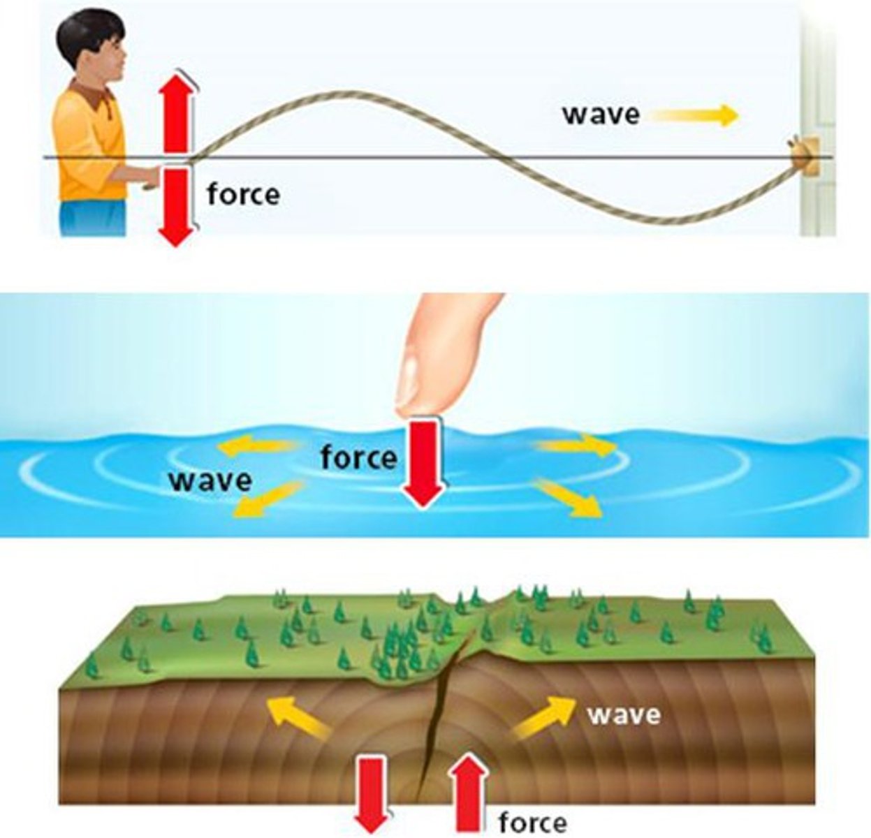 <p>A wave that requires a medium to travel through (e.g., sound).</p>