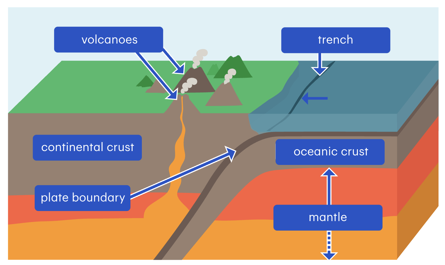 <ul><li><p>Subduction also occurs in this case. </p></li><li><p>The much denser oceanic crust always sinks beneath the continental crust.&nbsp;</p></li><li><p>This produces a trench&nbsp;along the subduction zone&nbsp;and volcanoes on the continental crust.</p></li></ul>