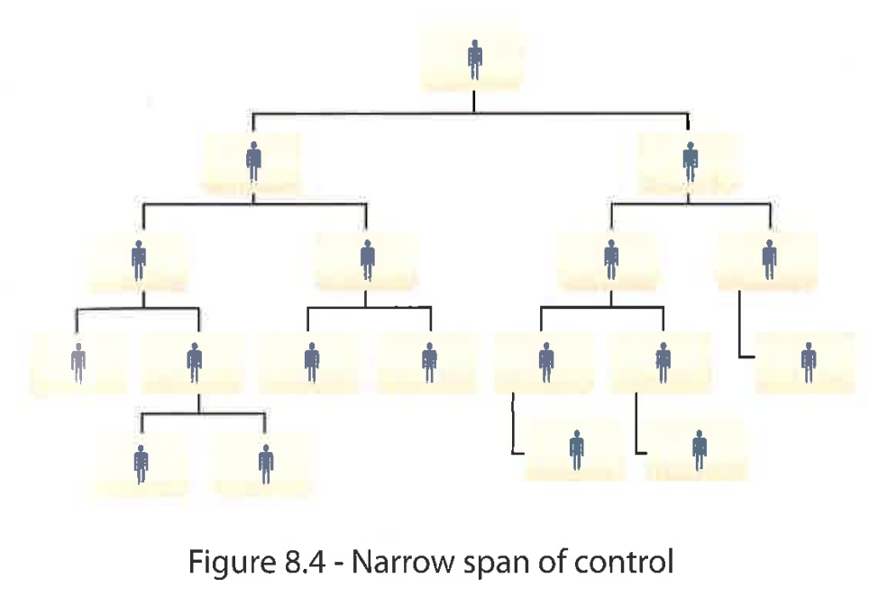<ul><li><p>Fewer subordinates per manager</p></li><li><p>Allows for close supervision but higher management costs</p></li></ul><p></p>