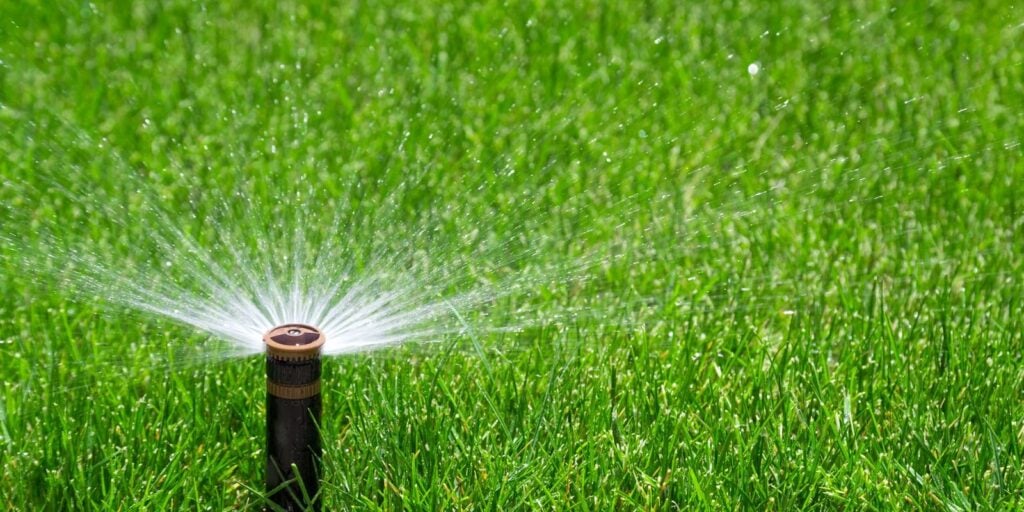 <p>Name this irrigation component</p>