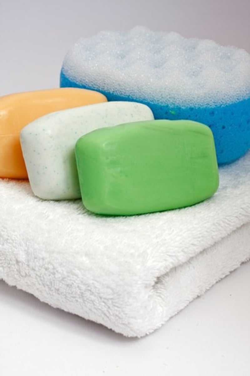 <p>the soap</p>