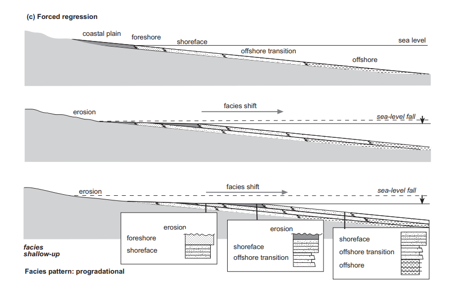 <p>Erosion takes place.</p><p>No deposition of sediments.</p><p>Shoreline shifts seaward due to sea level fall.</p><p>Progradational pattern of facies.</p><p></p>