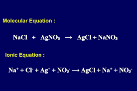 <p>Ions that do not react or change state in a reaction. </p>