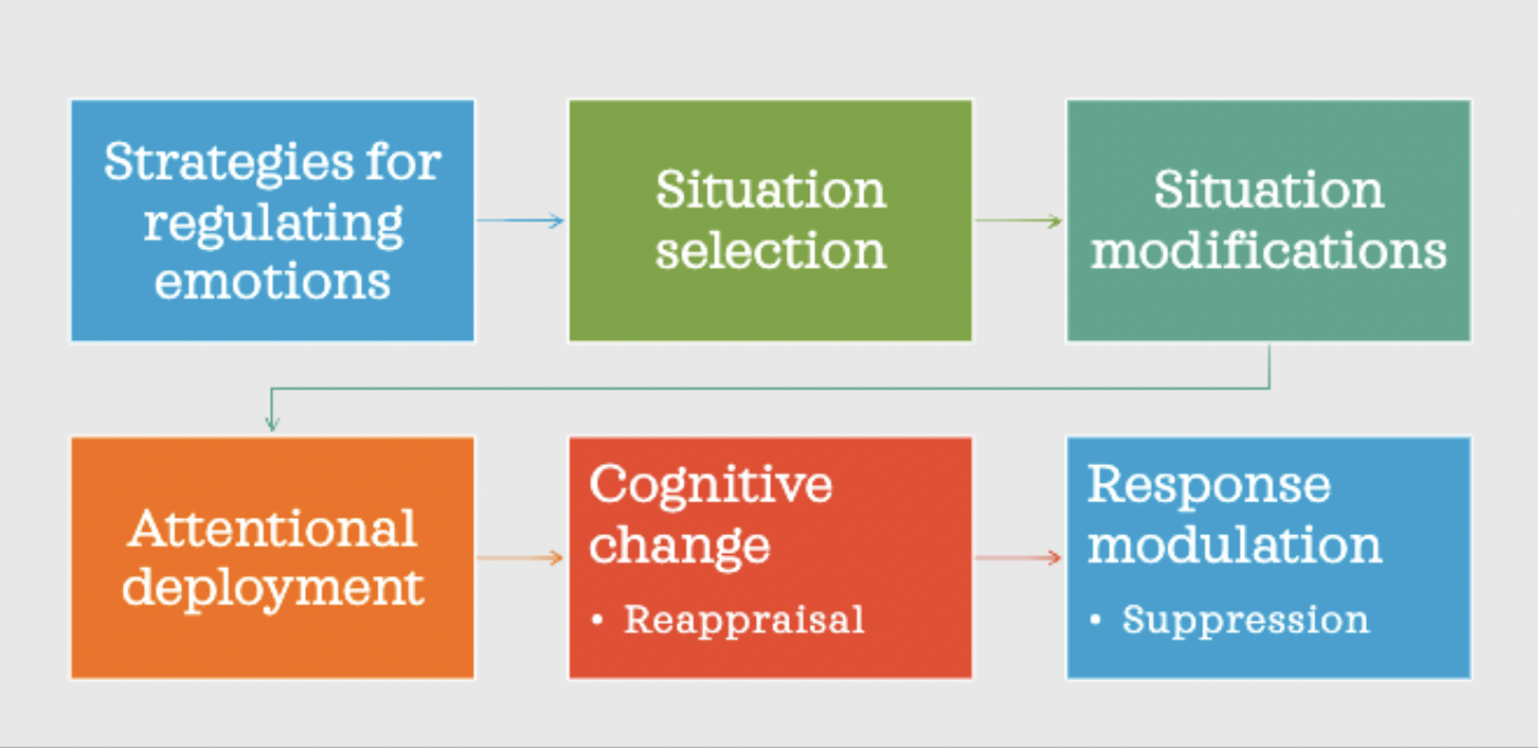 term generally used to describe a person's ability to effectively manage and respond to an emotional experience.