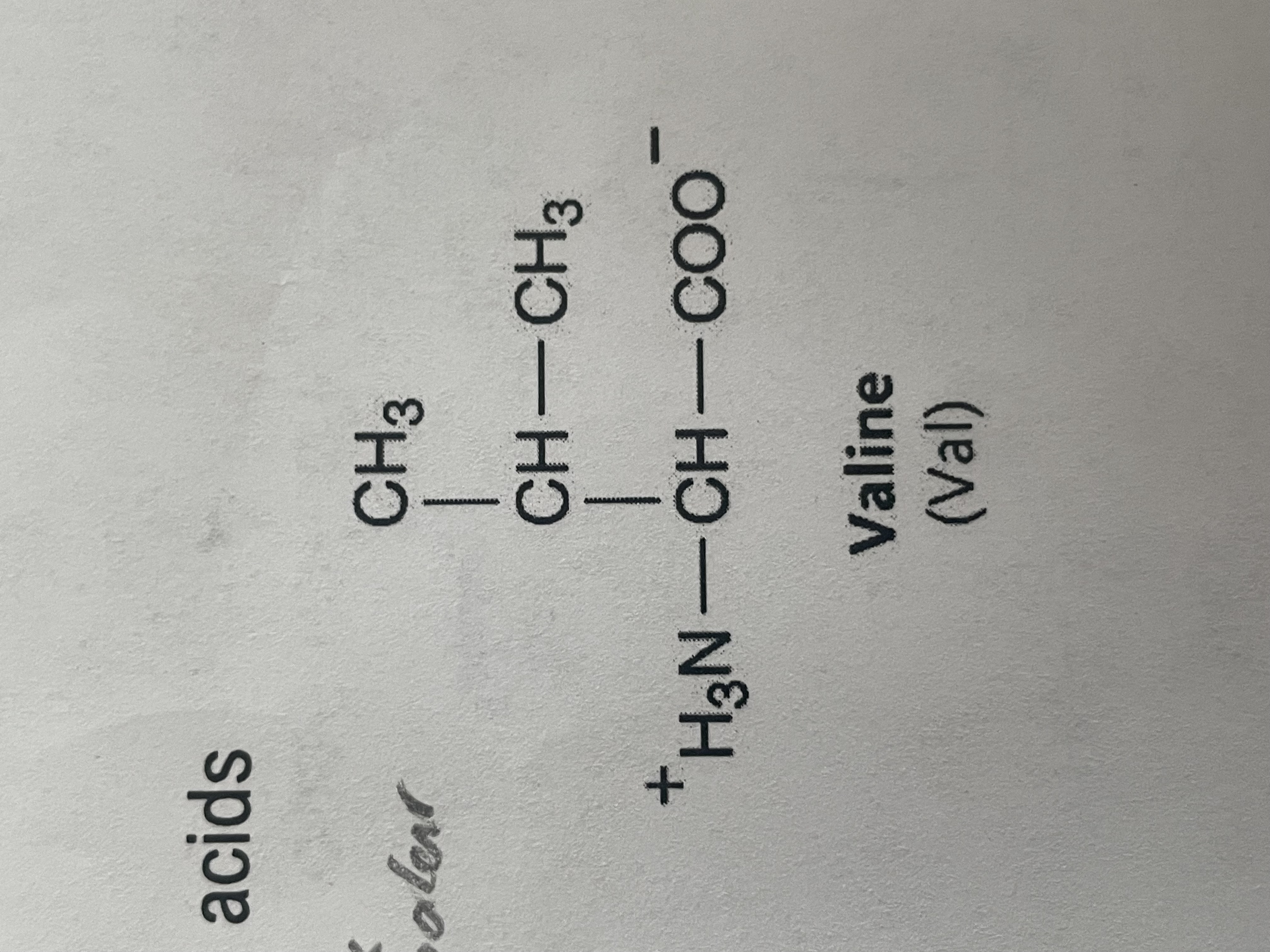 <p>Non-polar (hydrophobic) </p>