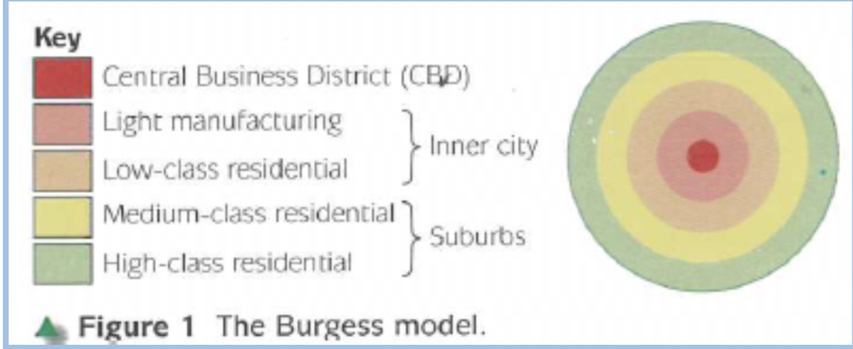 <ul><li><p><span>Five concentric circles arranged around the CBD in a circular pattern</span></p></li><li><p><span>Each circle has has a different land use</span></p></li><li><p><span>Land costs are higher in the CBD</span></p></li><li><p><span>Land costs are lower with increasing distance from the city centre</span></p></li></ul><p></p><p><span>CBD: MBS shopping mall, orchard</span></p><p><span>Light manufacturing: Sawmill, paper making</span></p><p><span>Low class residential: HDB</span></p><p><span>Medium class residential: apartments</span></p><p><span>High class residential: Landed housing</span></p><p></p>