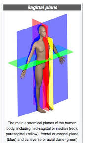 <p>center of mass (com)</p>