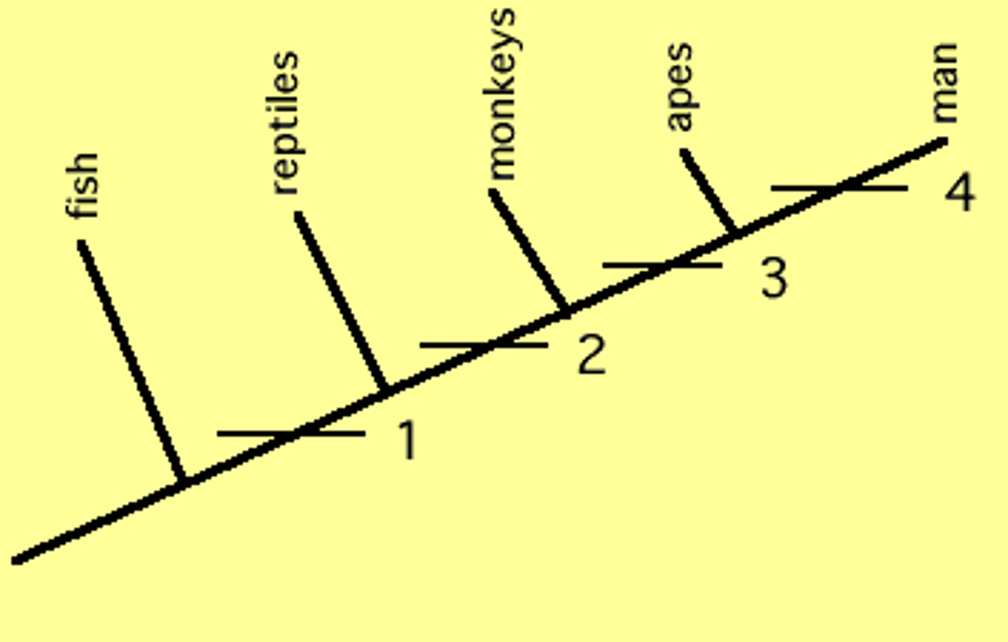 <p>a way of organizing information according to similarities, in biology it is used to assess what organisms are more similar to one another (we then assume this correlates with ancestry)</p>