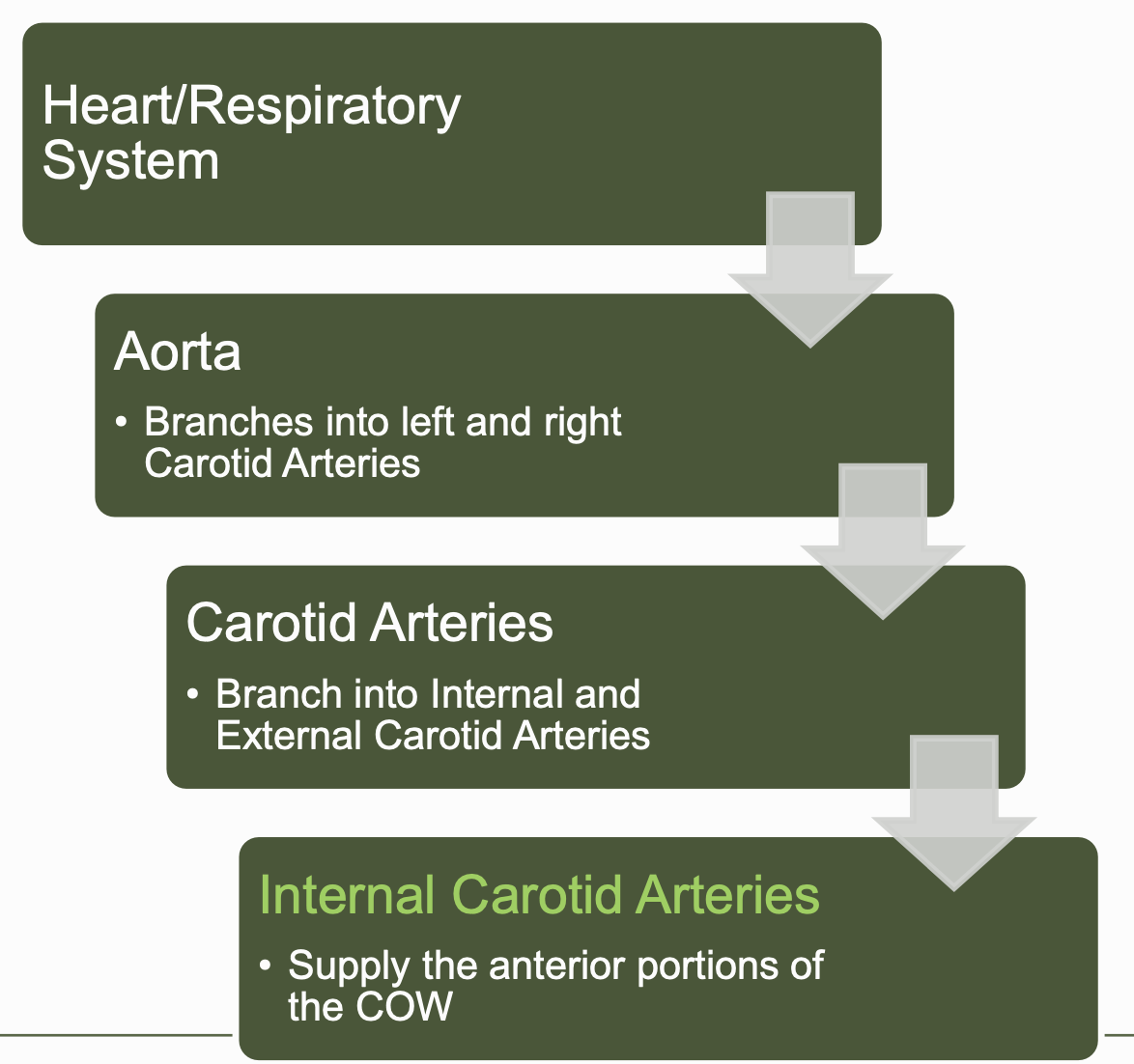 knowt flashcard image