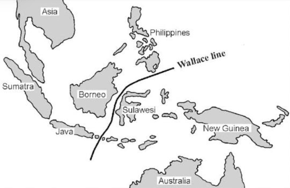 <p>Suggest two possible reasons why animals to the west of the Wallace line are different from animals to the east of the Wallace line.</p>