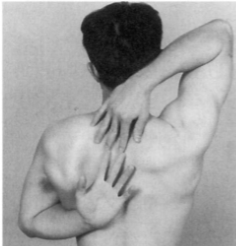 <p><strong>Apley’s Scratch</strong></p><p><strong>Position</strong>: Seated or standing</p><p><strong>Instruction</strong>: <span>Place the palm of the hand on your back, bending your elbow and reaching behind the back as far as possible. Place the other hand behind your back with the palm facing forward, reaching up as far as possible.</span></p><p>Measure the distance between the middle fingertips. </p>