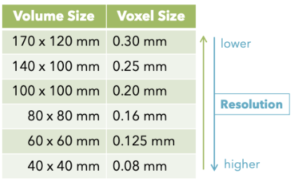 <p>What is the relationship between voxel size and volume size?</p>