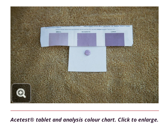 <ul><li><p>nitroprusside test tablets (Acetest)</p></li><li><p>broadly, convenient → easy to perform, long shelf life</p></li><li><p>blood and/or urine acetone + acetoacetic acid levels; DO NOT MEASURE BHB LEVELS</p></li></ul><p></p><ul><li><p>Nitroprusside test tablets react mainly with AcAc in samples, with limited reaction with acetone → prod colour change</p></li><li><p>DKA primarily produces BHB → underestimate keotsis severity when BHB:AcAc ratio is high (as in DKA) → so AcAc value may yield false negatives in DKA patient</p></li></ul>