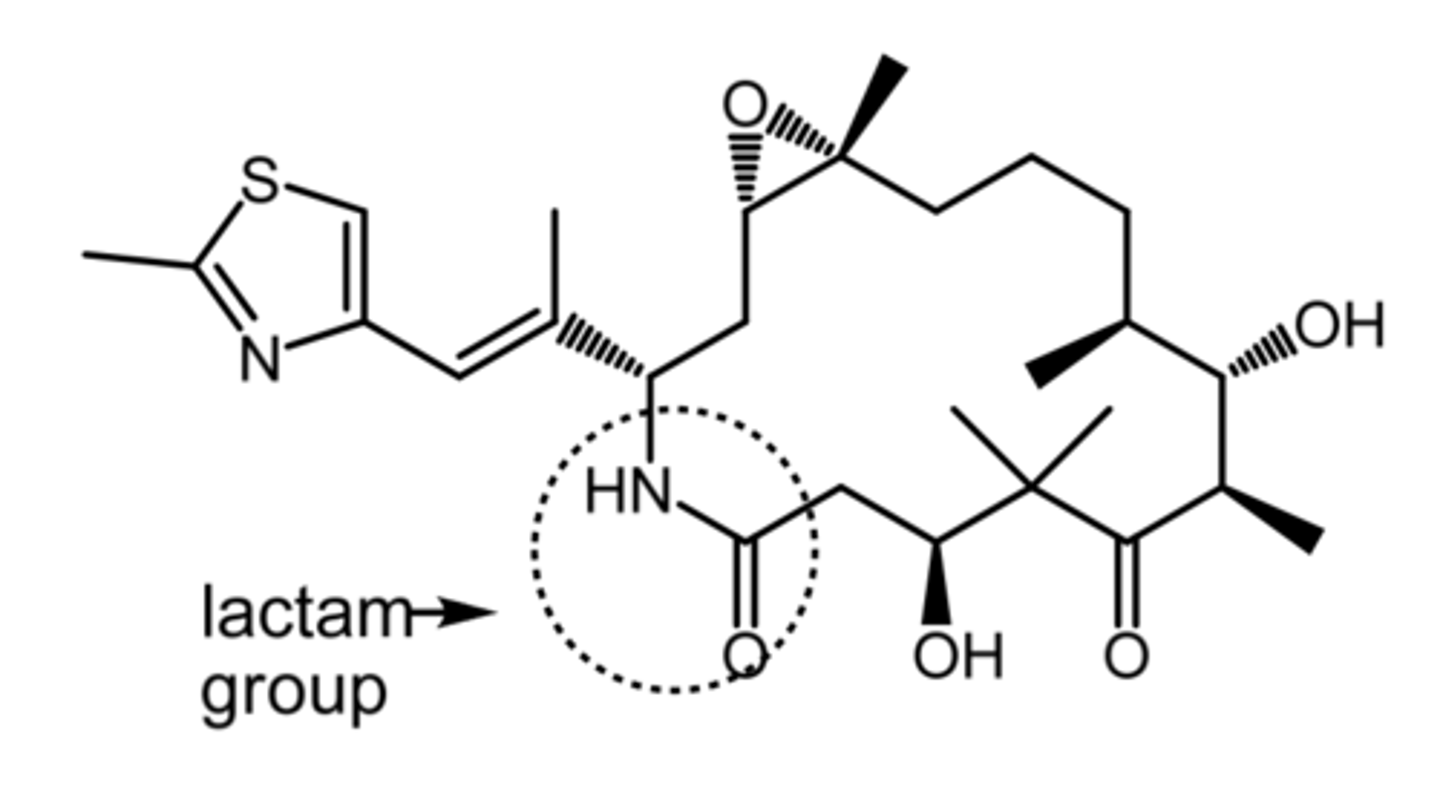 <p>(epothilone -- mitosis inhibitor)</p><p>SAR: semisynthetic epothilone B analog</p><p>- better water solubility + stability due to lactam group</p><p>- twice as potent as paclitaxel</p><p>MOA: promote cell death by inhibiting microtubule depolymerization</p><p>- low susceptibility to resistance</p><p>indication: in combo with capecitabine for anthracycline/taxane resistant advanced or metastatic breast cancer</p><p>AE: peripheral neuropathy, neutropenia</p><p>DDI: CYP3A4 substrates, inducers, and inhibitors</p><p>BBW: pts w impaired hepatic function (AST or ALT 2.5x higher than normal)</p>