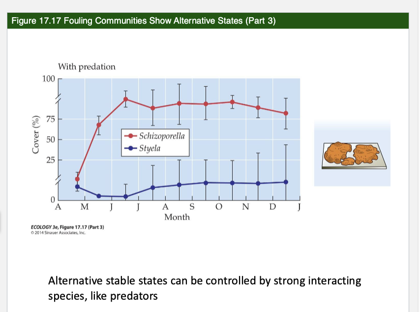 <p>How did predation affect community composition?</p>