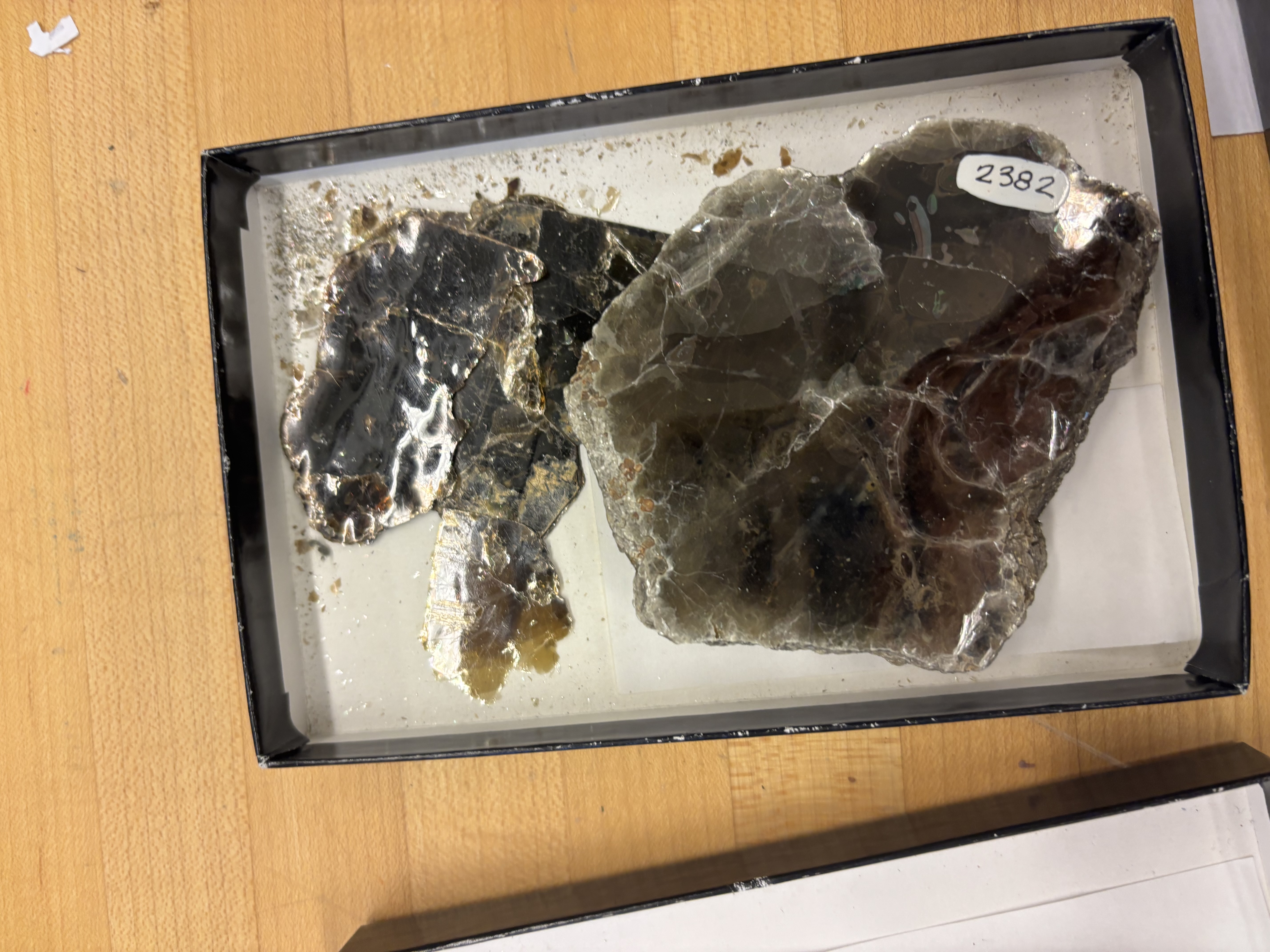 <p>biotite</p>