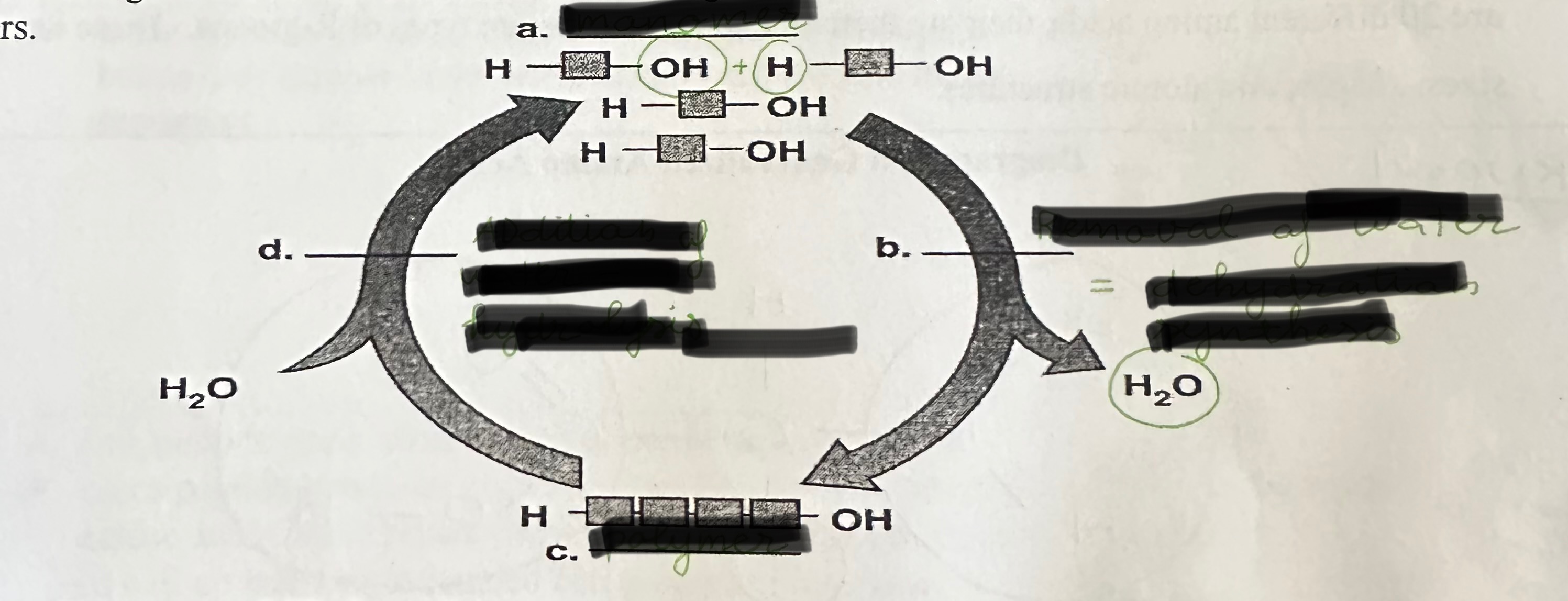 <p>Label a, b, c, and d</p>