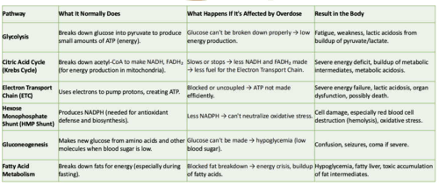 <p>What it normally does:</p><p>- Produces NADPH (needed for antioxidant defense and biosynthesis)</p><p>What happens if its affected by overdose:</p><p>- Less NADPH → can't neutralize oxidative stress</p><p>Result in the body:</p><p>- Cell damage, especially red blood cell destruction (hemolysis), oxidative stress</p>