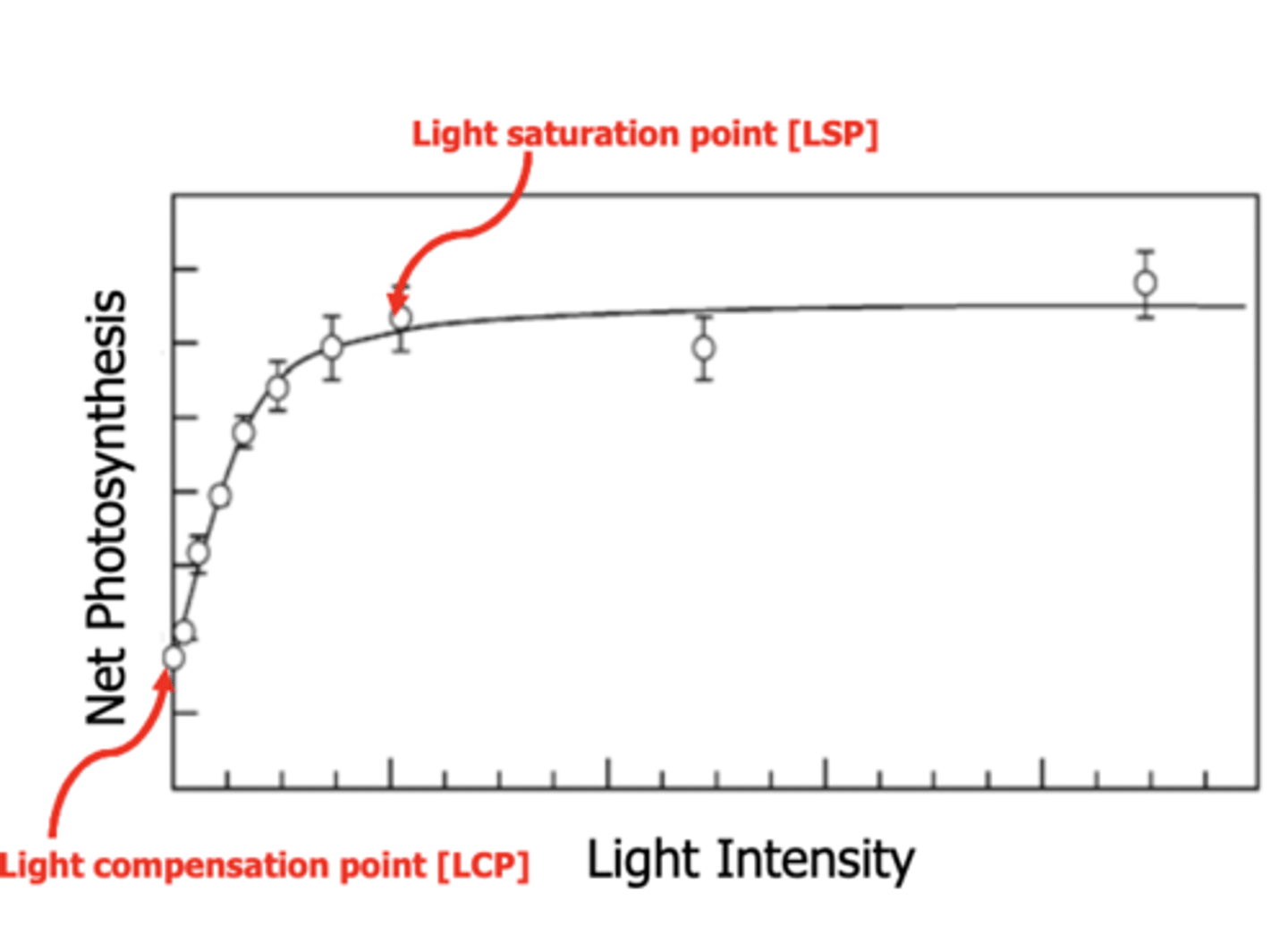 <p>The point at which additional light does not lead to increased photosynthesis.</p>