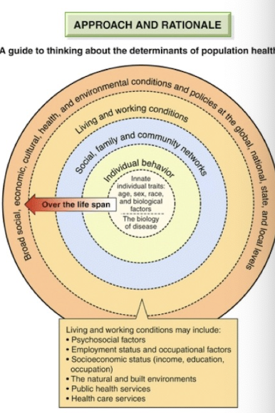 <ul><li><p>Dynamic communities of plants, animals, microorganisms, and the nonliving environments in which they live</p></li><li><p>CAN NOT EXIST OUTSIDE OF</p></li></ul><p></p>