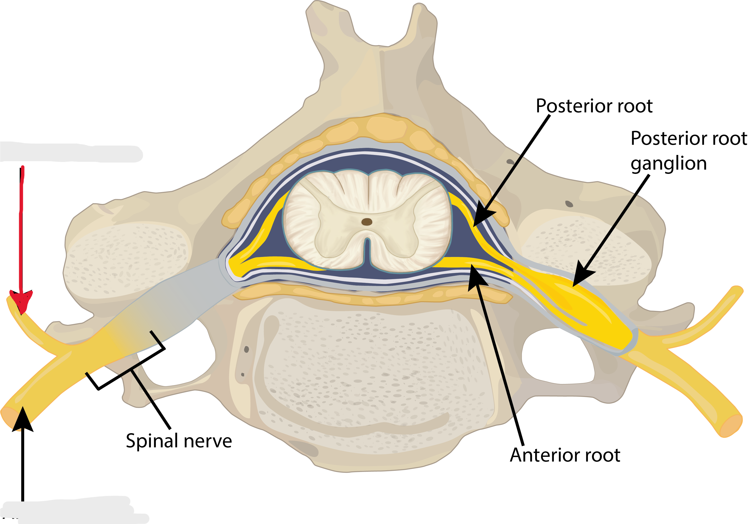 <p>Structure. broken </p>
