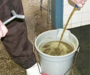 <p><2L of net fluid in a full sized horse</p>