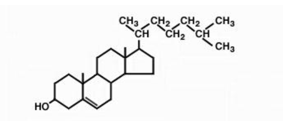 <p>steroid</p><p>terpene based</p><p>animal cell membranes</p><p>lipoprotein complexes in blood&nbsp;</p><p>net charge 0</p><p>covalently attached to proteins to anchor themselves to the membrane</p>