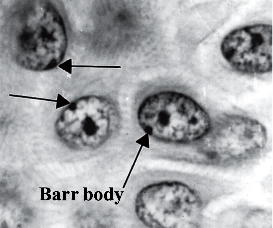 <p>what’s this</p>