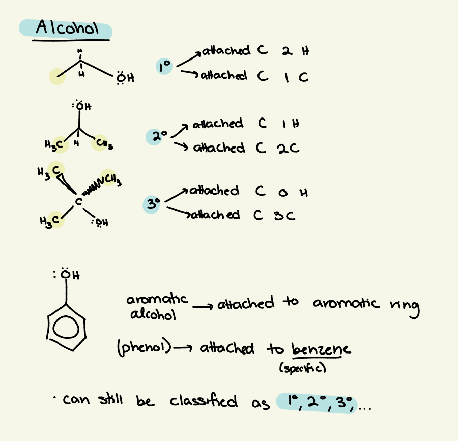 <p>classified by how many C’s/H’s the C attached to the hydroxide is bound to</p><p></p><p>hydroxide - C - C’s &amp; H’s classified by</p><p></p><p>1<sup>o </sup>— 2 H, 1 C</p><p>2<sup>o</sup> — 1 H, 2 C</p><p>3<sup>o</sup> — 0 H, 3 C</p>