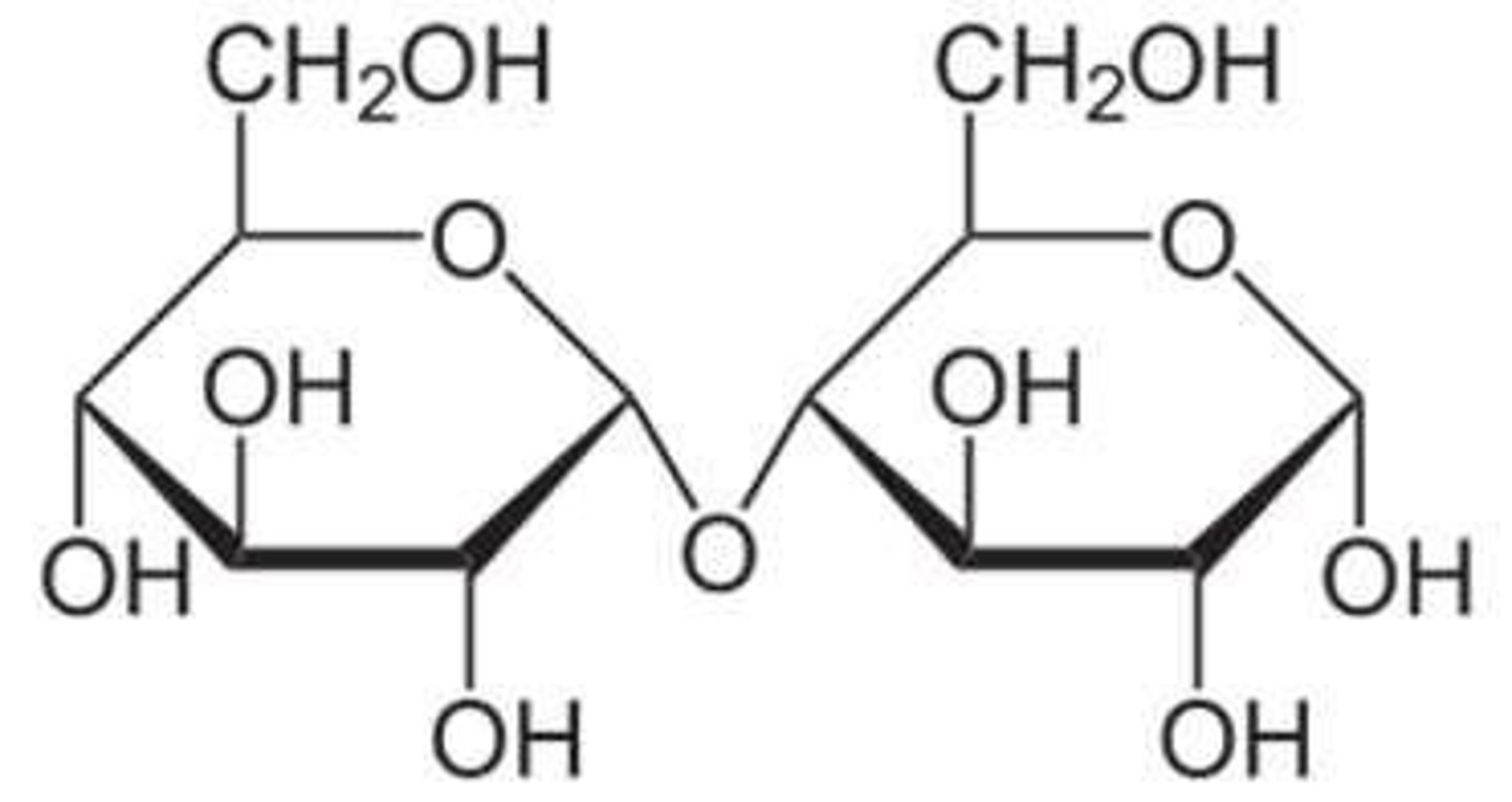 <p>α-1,4 glycosidic bonds.</p>