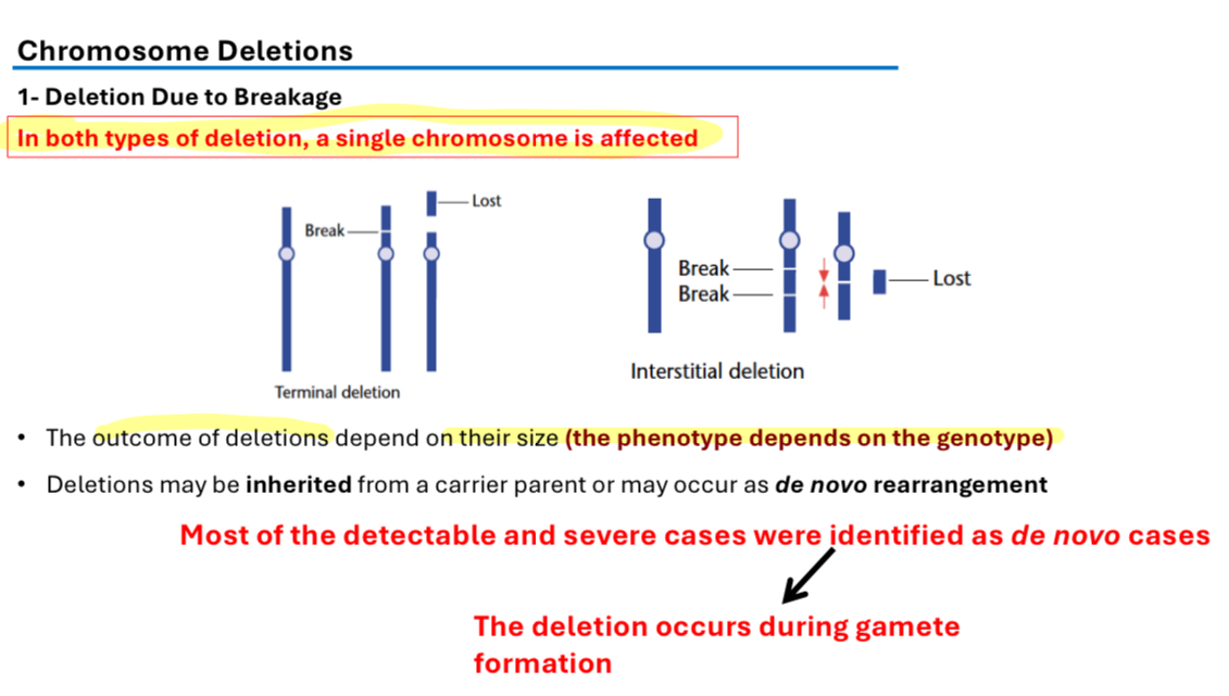 <p>A chromosomal abnormality in which a portion of chromatin from a single chromosome is lost.</p><ol><li><p>A deletion occurs when a chromosome loses a segment because of a breakage</p></li><li><p>It occurs due to unequal crossing over </p></li></ol><p>Deletions may be inherited from a carrier parent or may occur as de novo rearrangement </p><p>Most of the detectable and severe cases were identified as de novo cases. The deletion occurs during gamete formation  </p><p>Examples of chromosomal deletions </p><p>Cri-du-chat syndrome: 46, XX(XY), del(5p) (pter)</p><p>DiGeorge syndrome: 46, XY(XX), del(22((q11)</p><p>Prader-Willi syndrome and Angelman syndrome, both deletions of chromosome 15 long-arm. </p><p>When the deletion is inherited from the father - Prader-Willi (PWS) syndrome&nbsp;</p><p>When the same deletion is inherited from mother - Angelman syndrome&nbsp;</p>