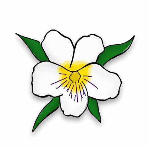<p>What is the official flower of ZTA?</p>