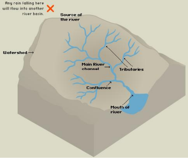 <p>watershed, main river channel, tributaries, confluence, moth of river. </p>