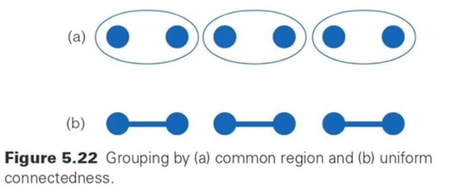 <p>Connected region of visual properties are perceived as a single unit.</p>