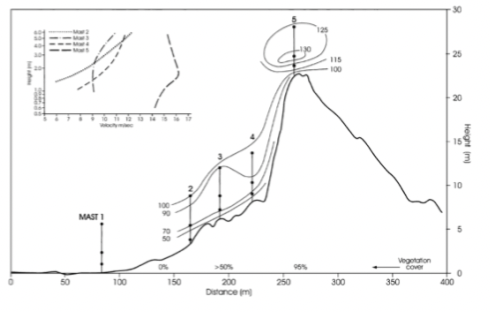 Wind accelerates up the hill, the flow will accelerate when it has been compressed

Blow outs expand because the wind funneled through the blowout maintaining a vegetation free zone

Due to compression there is a higher wind speed near the top, create conditions for sand to get blown out

which maximises erosion      

     