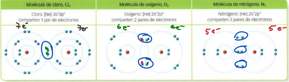 Formación de moléculas mediante el par de e- compartidos.