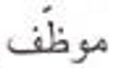 <p>What’s the definition, the plural, and the plural type?</p>