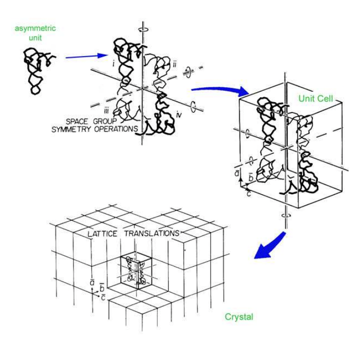<p>asymmetric unit -(space group)→ unit cell → crystal </p><p>space group = symmetry operations which generate unit cell from asymmetric unit</p>