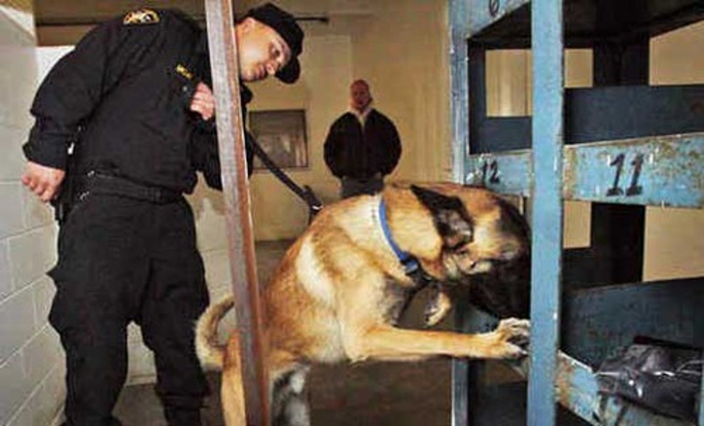 <p>vigilar, investigar, verificar</p>