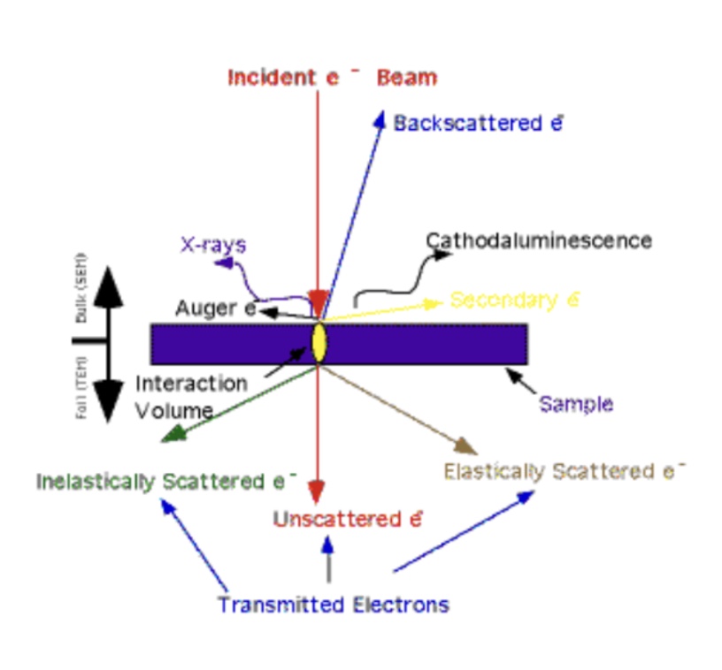 <p>Electron - specimen interaction </p>