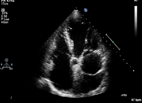 <p>what is this?</p>